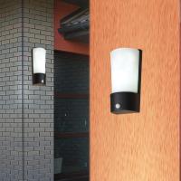 Jüpiter Bahçe Aplik Sensorlü JW930 - AN