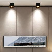 Jüpiter S.Ü. Siyah ve Altın Led Tavan Armatürü 3000K LC601SA