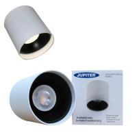 Jüpiter Siyah ve Beyaz Tavan Armatürü JC046BS JC065BS